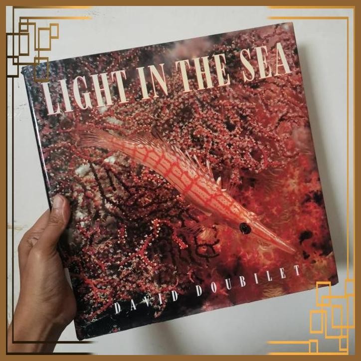 

[ADG] Buku Import Light in the sea by David Doubilet