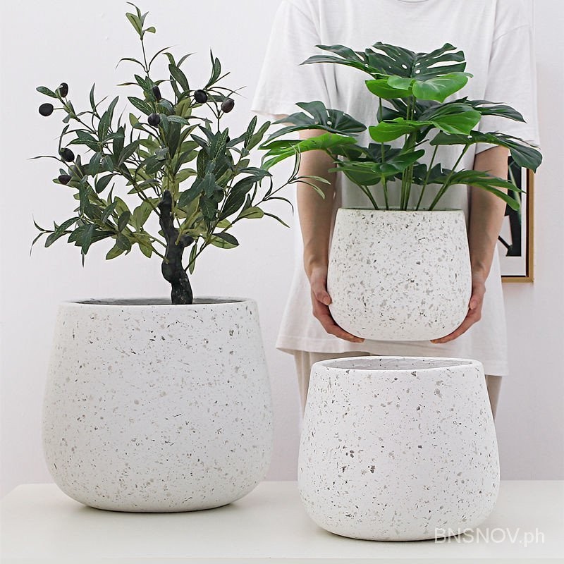 Pot Bunga Semen Putih Sederhana Dalam Ruangan Diameter Besar Lantai Balkon Monstera Deliciosa Ruang 