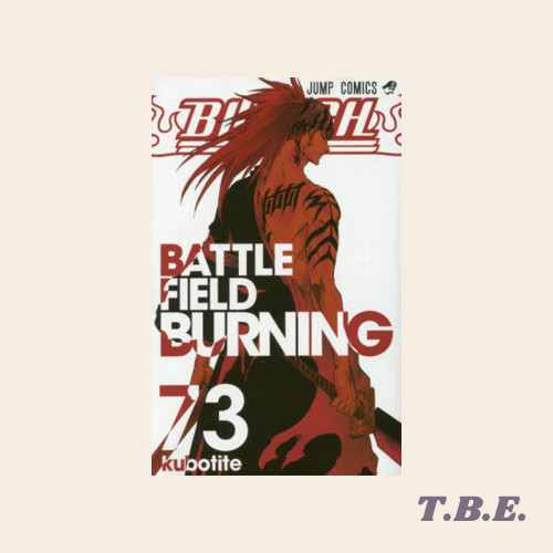 Bleach 73 - Komik Manga Jepang