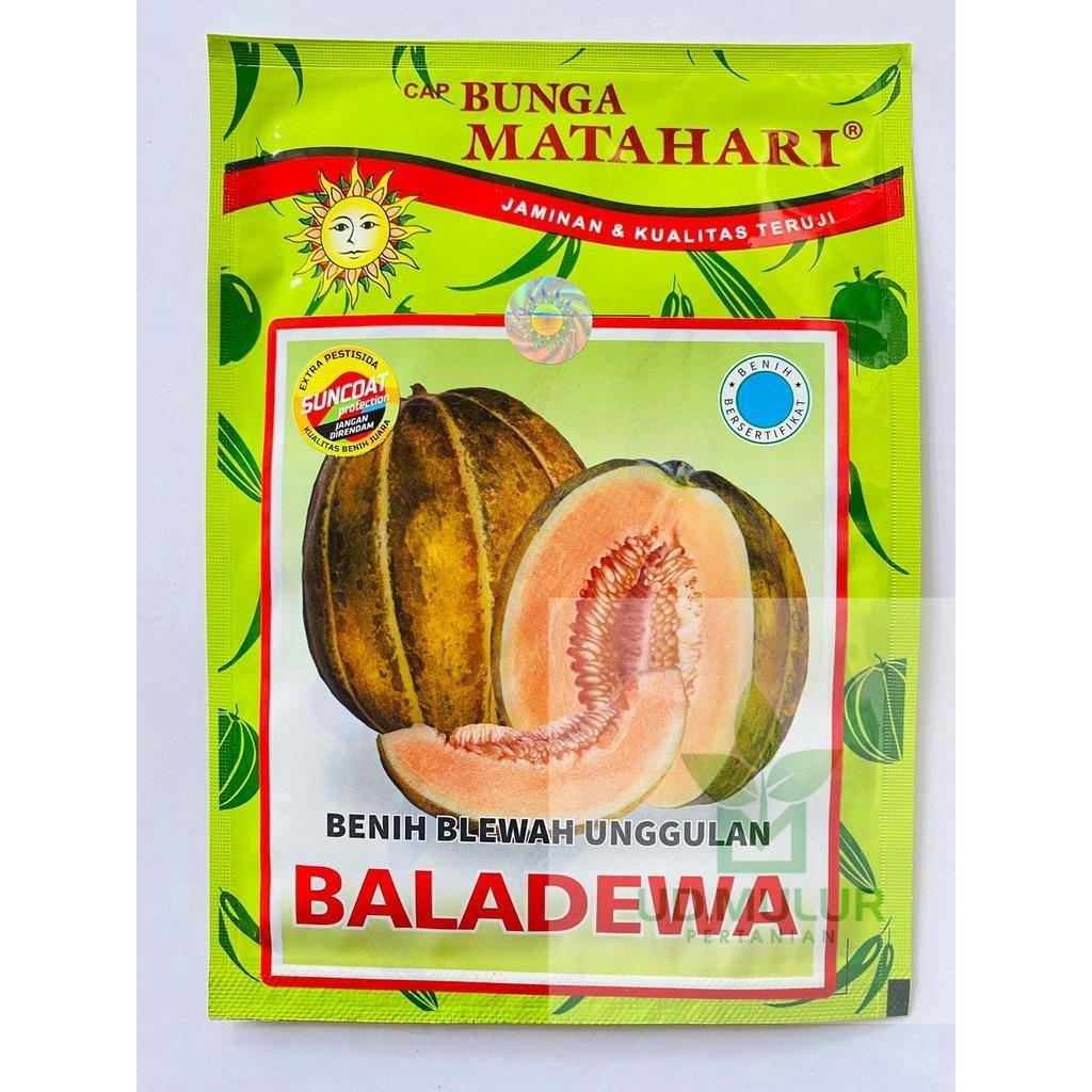 Benih garbis blewah BALADEWA dari CAP BUNGA MATAHARI Tanaman