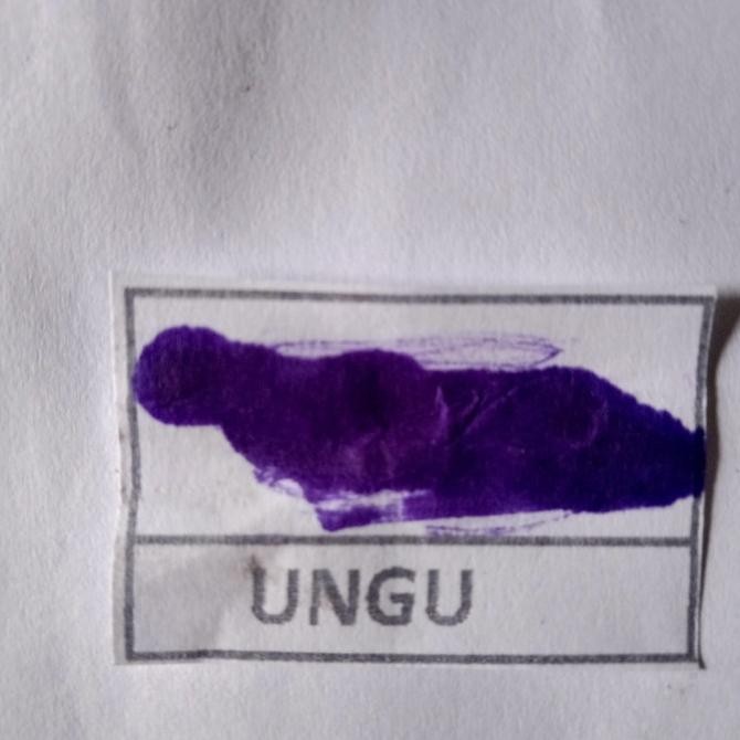 

Tinta Stempel Flash Otomatis, Warna Ungu 1 Liter Original Dan Terpercaya