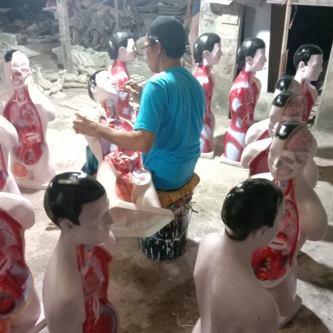 

Alat peraga model phantom torso Manusia setengah badan 90cm