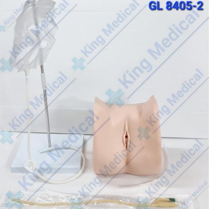 

Alat Peraga/Menekin Model Pemasangan Kateter Wanita 8405-2