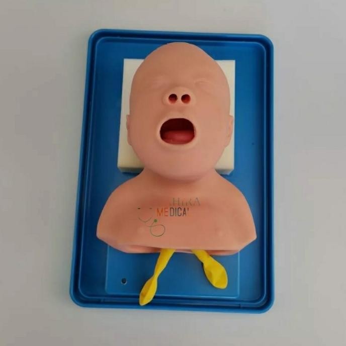 

PHANTOM MANIKIN / MANEKIN ALAT PERAGA INTUBASI Airway ETT BAYI