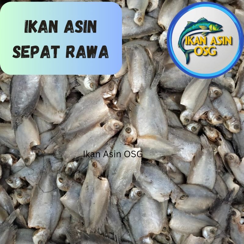 

Ikan Asin Sepat Rawa 1000 gram