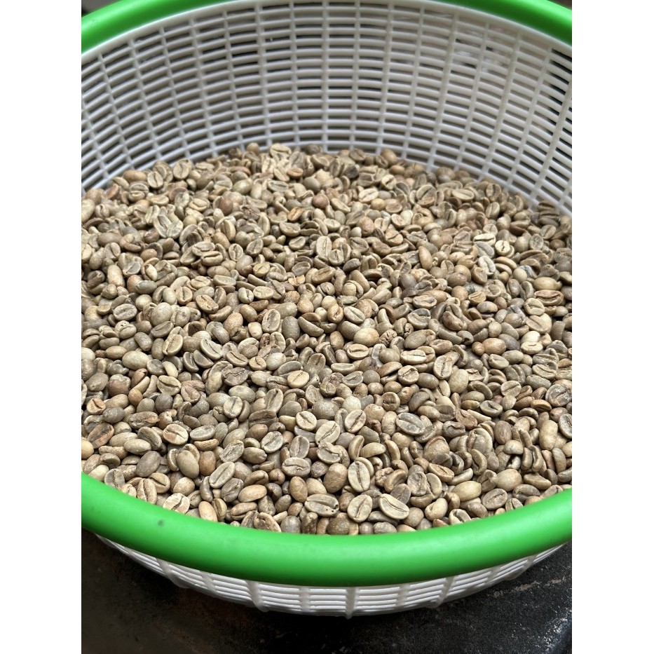 

Biji Kopi Arabika Flores Bajawa 1Kg Greenbean