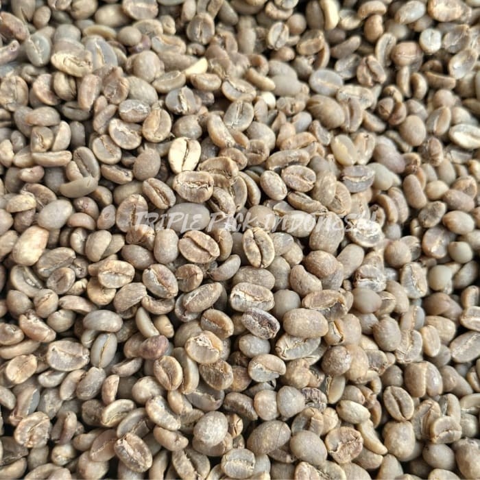 

Green Bean / Biji Kopi Arabika Toraja - Commercial Grade