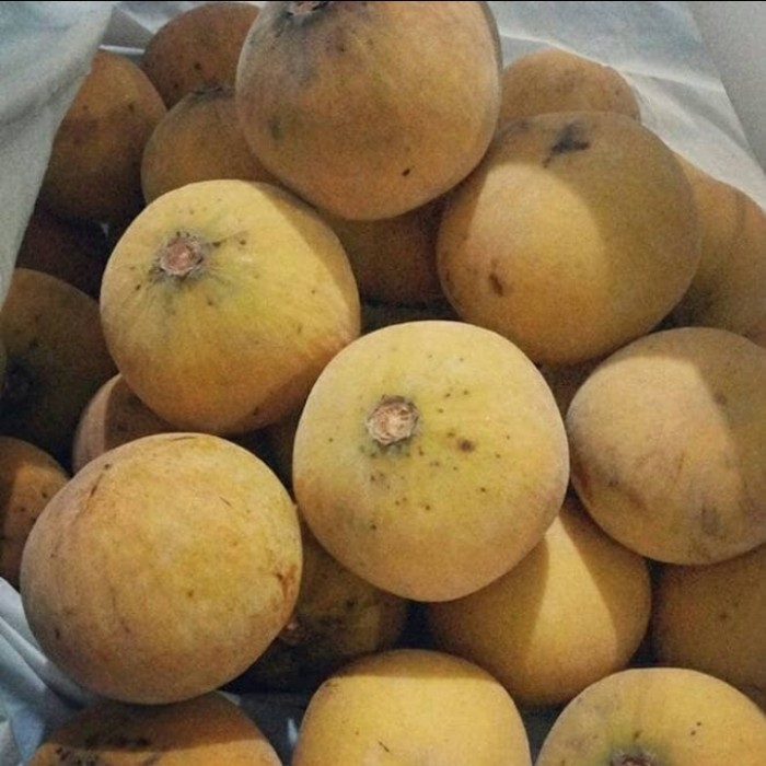 Buah Kecapi Segar 1kg