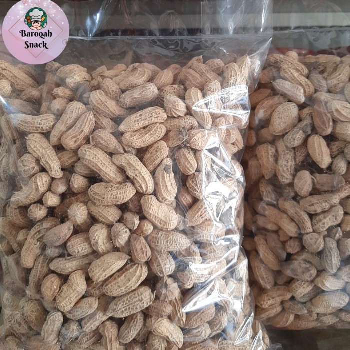 

BIG SALE KACANG KULIT ASIN DAN SANGRAI 1KG (1000GR)/KACANG KULIT BAKAR/OVEN