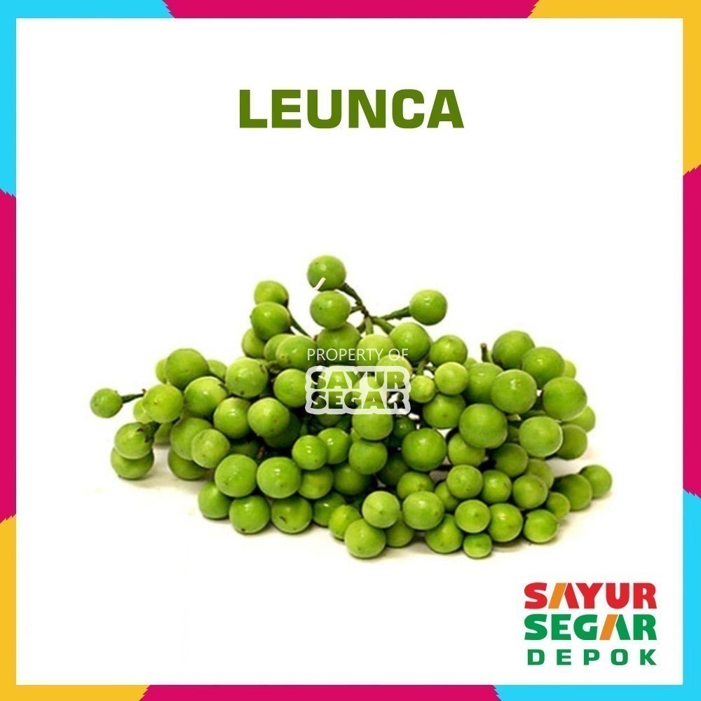 

LEUNCA SAYUR [100g]