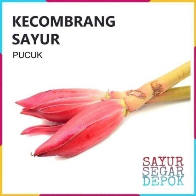 

KECOMBRANG SAYUR / SAYUR SEGAR DEPOK