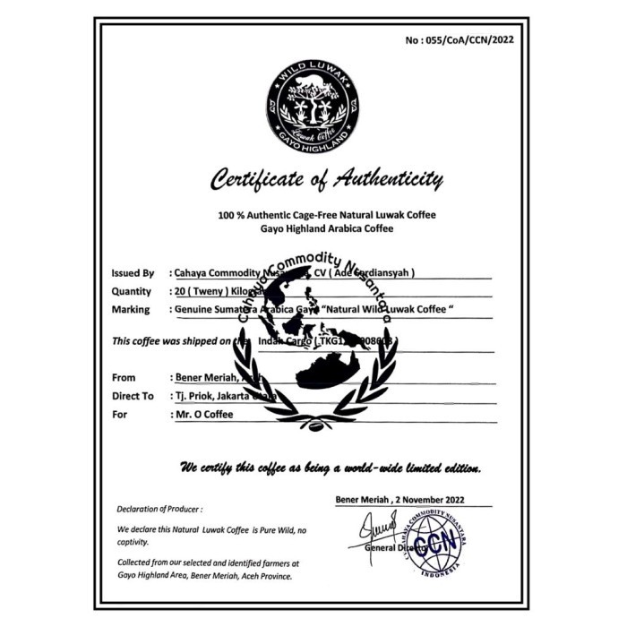 

Biji Kopi Luwak Liar Aceh Gayo 100G Asli Kopi Aceh Luwak Limited