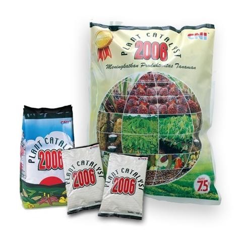Plant Catalyst 2006 Pupuk CNI Plant Catalyst CNI