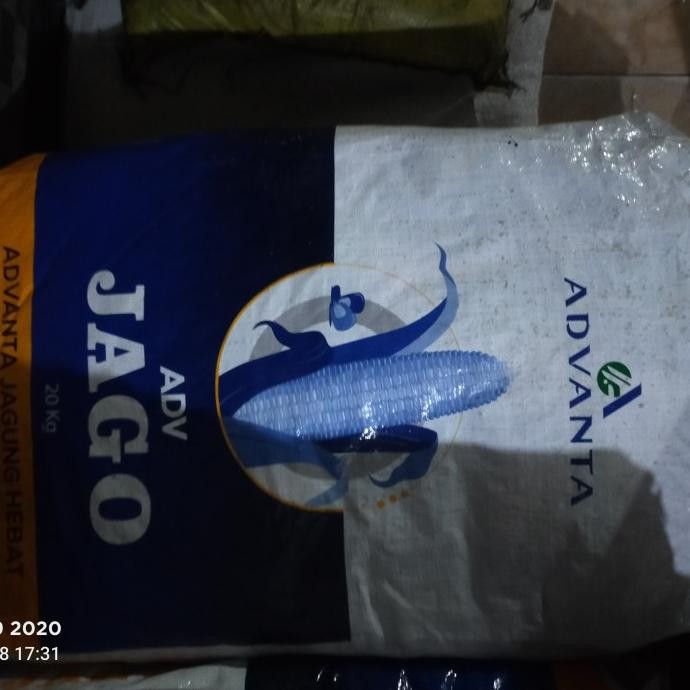 benih jagung advanta jago 1kg