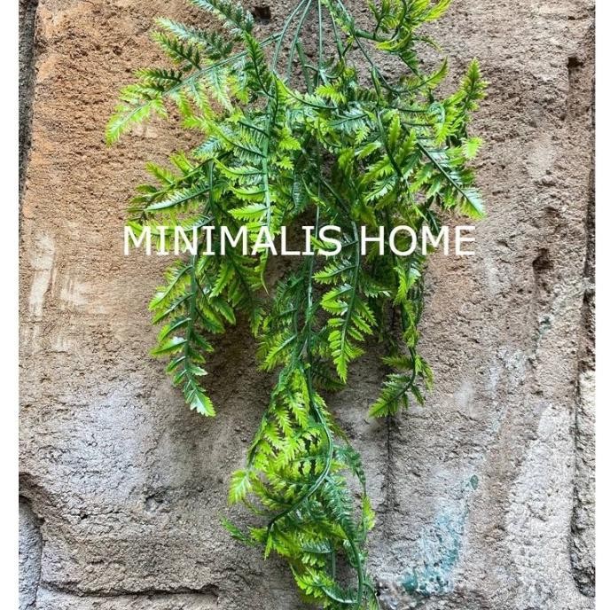 

DAUN JUNTAI PAKIS YUGALI BAMBU PUTIH SALJU SNOWY RAMBAT PLASTIK
