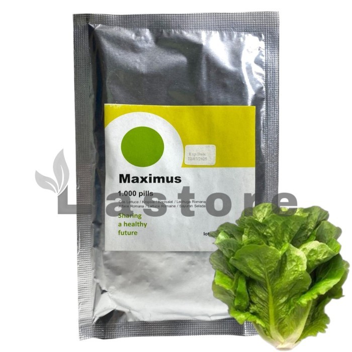 TERBARU benih selada romain maximus rz 1000 pills PROMO