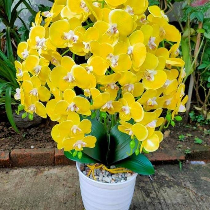 Bunga Anggrek Latex Jumbo Artificial//Bunga Anggrek Latex Besar Restock