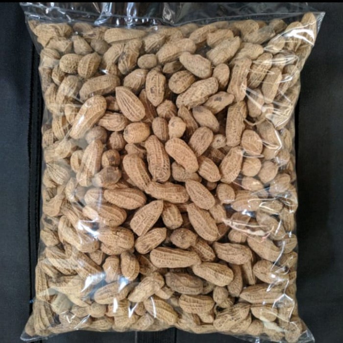 

KOMPLIT Kacang kulit sangrai BERAT 500GRM
