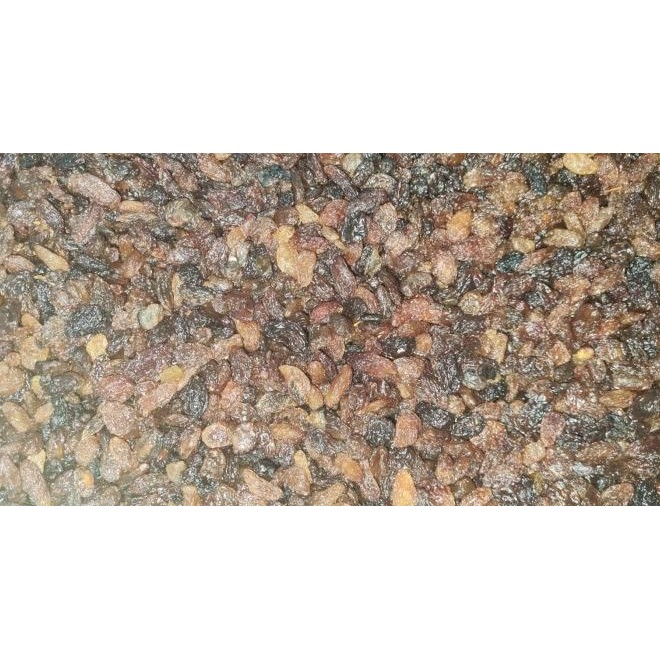 

Sultana Raisin / Kiss 10Kg