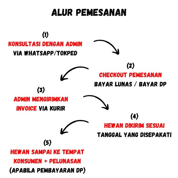 

Dp Hewan Qurban Kurban Domba / Kambing Bandung 2022 Termurah 100 % Original