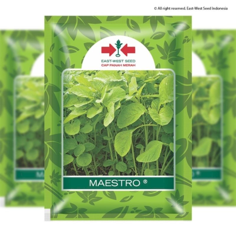 

MAESTRO East-West Seed Cap Panah Merah Netto 500 Gram