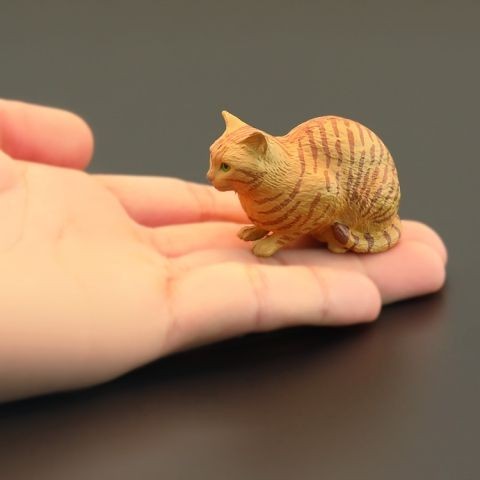 

Mainan Hewan Simulasi Anak-anak Ornamen Pengamatan Edukasi Dini