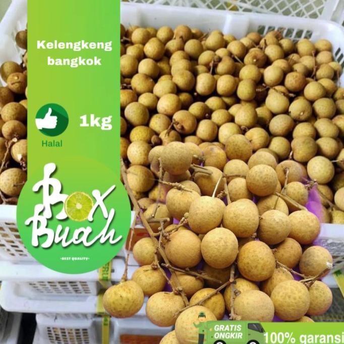 

Terlaris KELENGKENG BANGKOK MANIS 1 KERANJANG COD