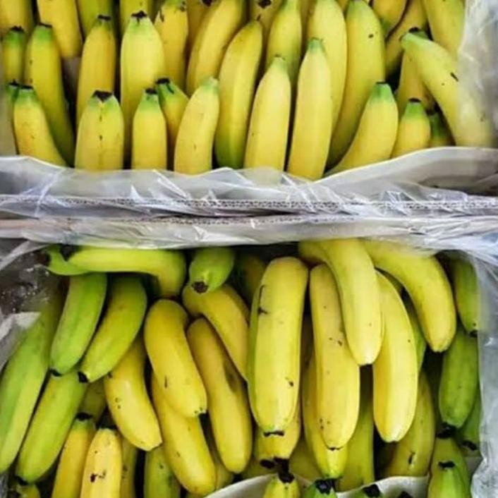 Pisang Cavendish Fb 2 / Banana Sunpride Per Dus