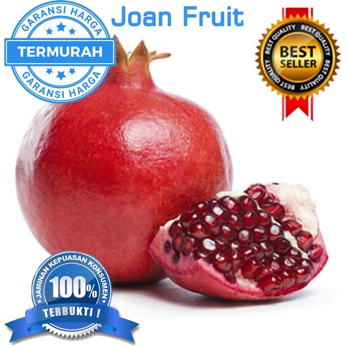 

H8GL GROSIR TERMURAH 1 DUS BUAH DELIMA MERAH IMPORT PREMIUM