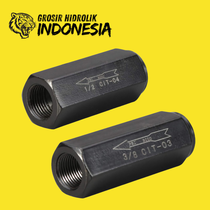 CIT-08 CHECK VALVE HYDRAULIC ONE WAY VALVE NON RETURN VALVE - 1" INCH
