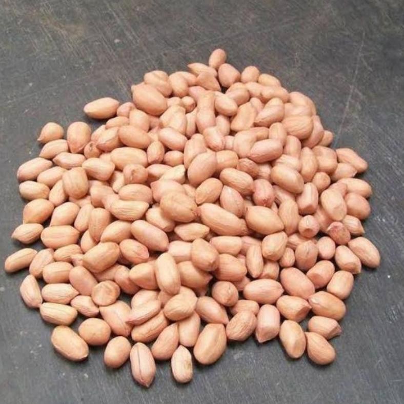 

Kacang Tanah Putih (1 Kg) / kacang India Putih