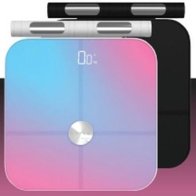 Enter The Skin - Smart Body Fat Scale