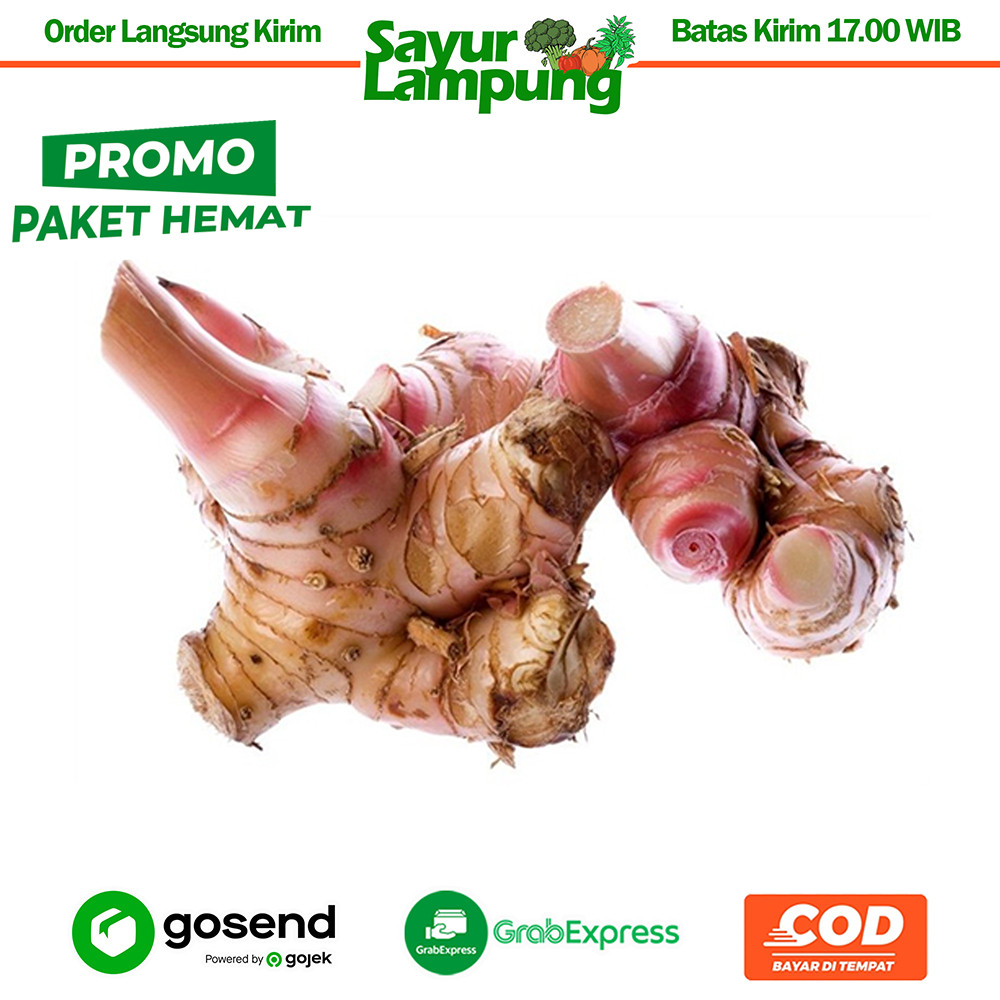 

PaHe Lengkuas / Laos 100 Gr - Sayur Lampung