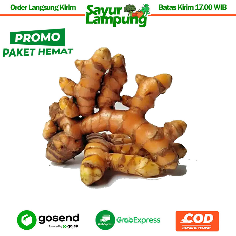 

PaHe Kunyit Segar 100 Gr - Sayur Lampung
