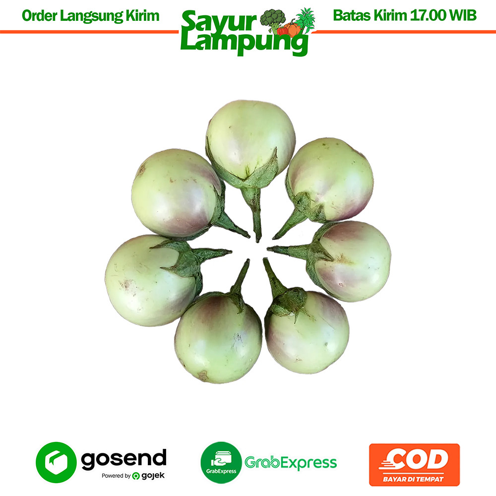 

Terong Apel Lalap 250 Gr - Sayur Lampung