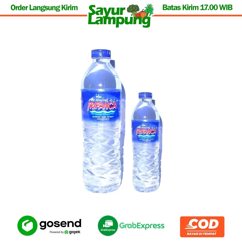 

Tripanca Botol - Sayur Lampung