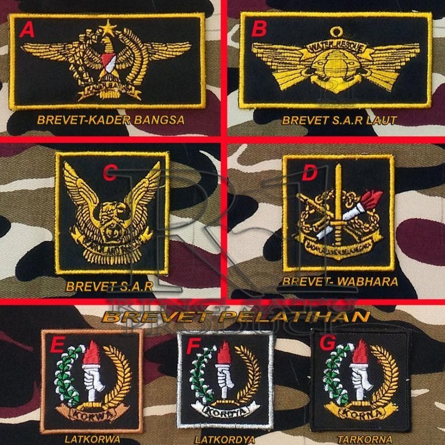 EMBLEM FKPPI BREVET PDL Bagus