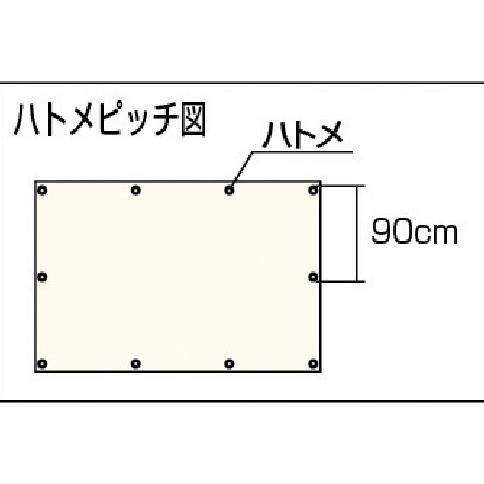 

HAGIHARA See-Through Clear Sheet SC1836 1,8 x 3,6 m
