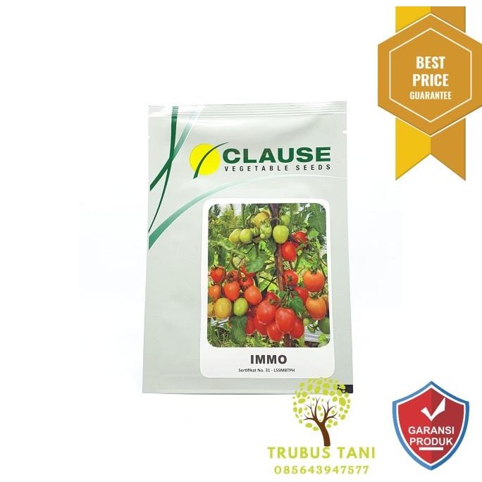 Benih Tomat CLAUSE F1