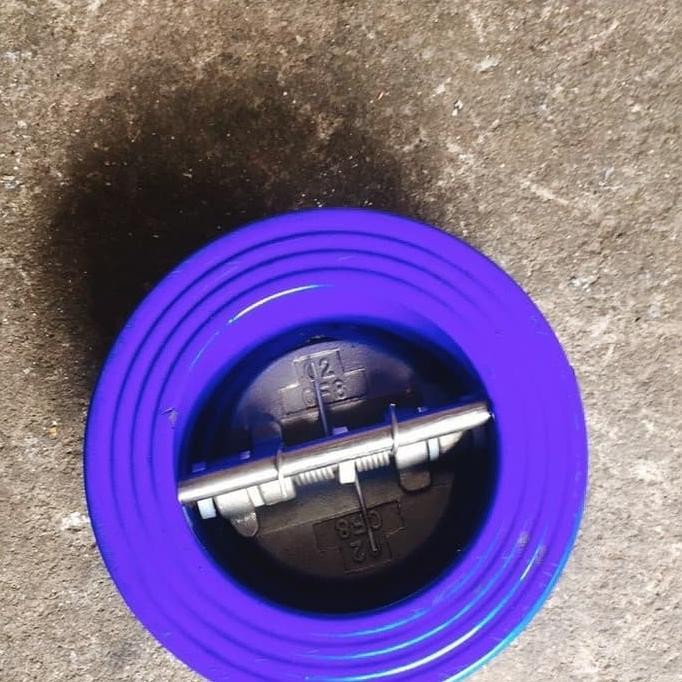 

2 Inch Wafer Check Valve C/I Terlaris