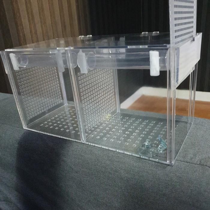 Box Kotak Akrilik Acrylic Karantina / Aklimasi Ikan Uk. P 30 L 13 T 15