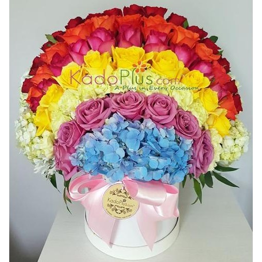 

PROMO SPLENDEUR BOX MY RAINBOW