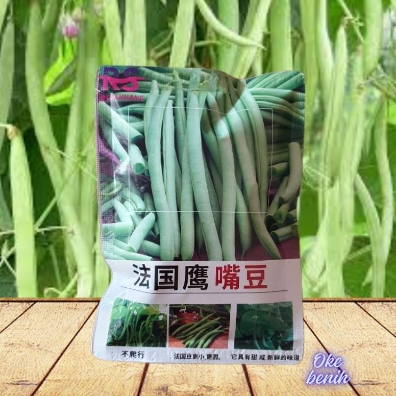 Kk - KEMASAN ORIGINAL 500 BUTIR BENIH BUNCIS TEGAK BABY KENYA (TANPA LANJARAN) IMPORT