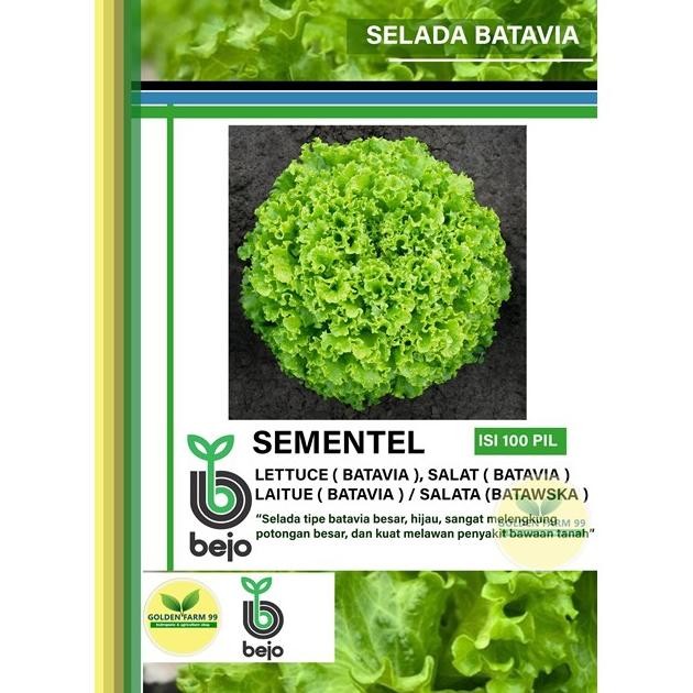 Kk - Benih selada BATAVIA BEJO SEMENTEL Kemasan 100 pil