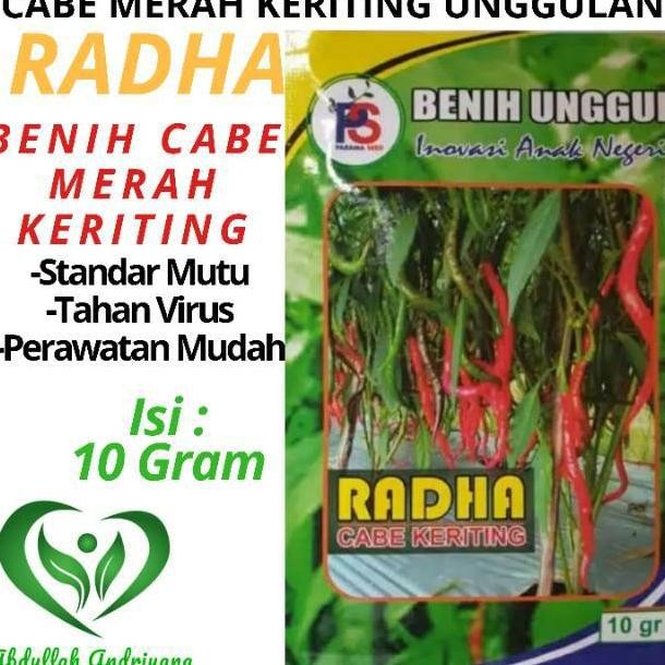 Kk - Benih Cabe Keriting Unggulan RADHA 10 Gr Bibit Cabe Keriting RADHA Berkualitas super