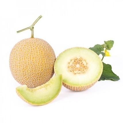 Bibit melon Inthanon RZ - 1000 kemasan ori