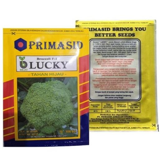 

Lucky Bejo 5000 Biji Benih Bibit Brokoli Broccoli F-1 Produk Original Pabrik