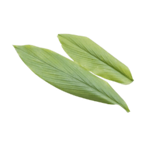 

Daun Kunyit 100g oFresh Batam