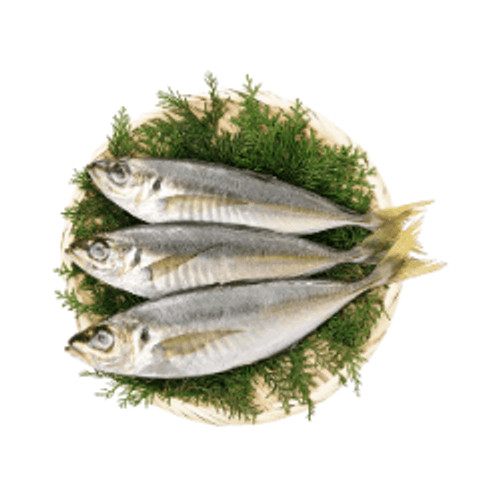 

Ikan Benggol 1 kg oFresh Batam