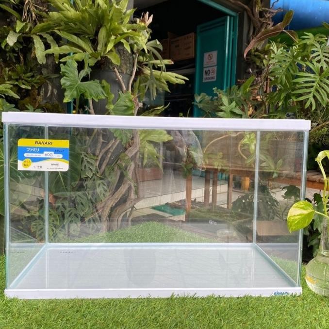 Terbaru Aquarium Bahari 60Cm Akrilik
